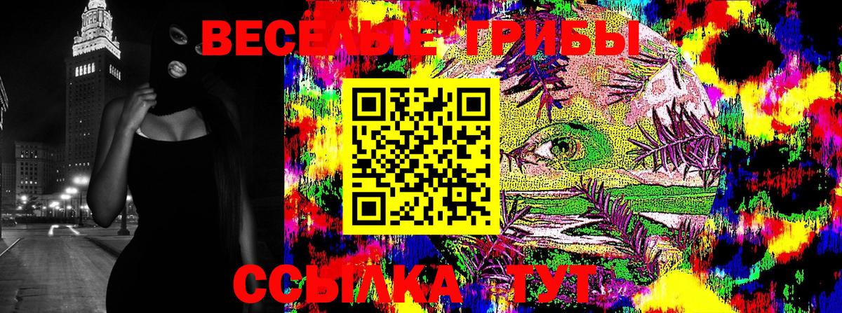 Псилоцибиновые грибы Cubensis Подольск